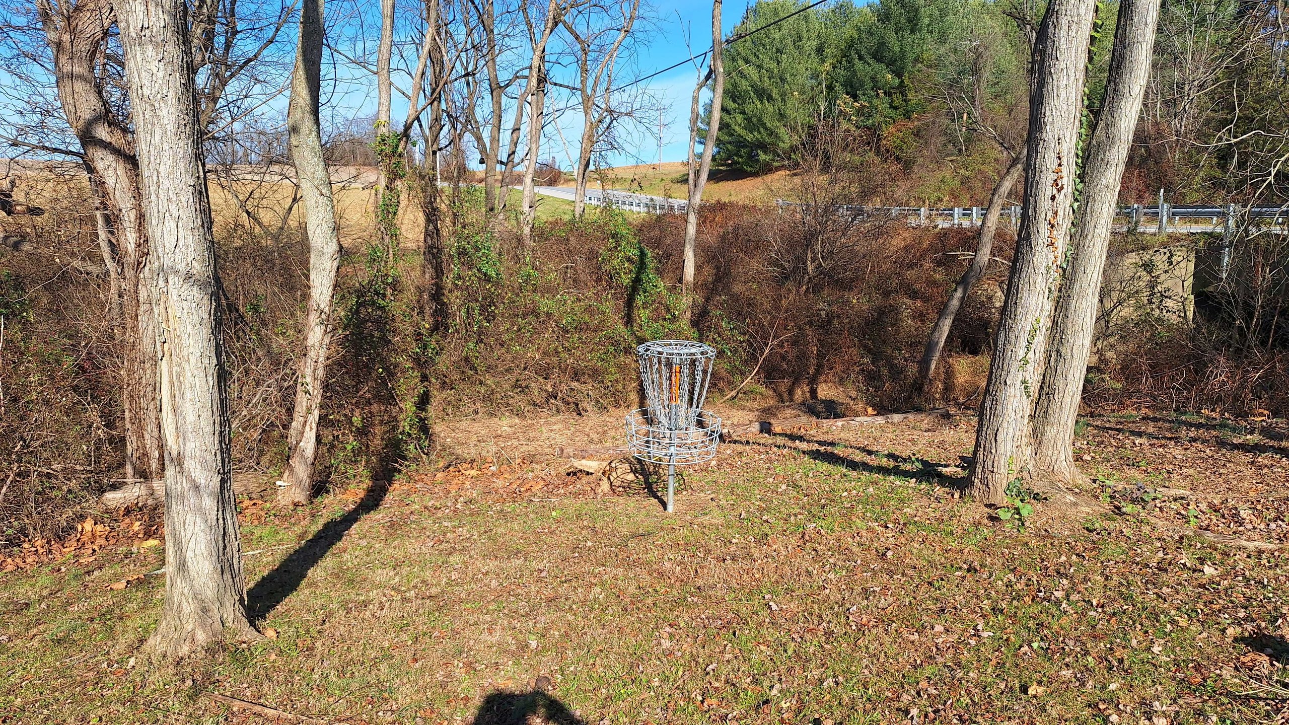 Hole 2 Basket