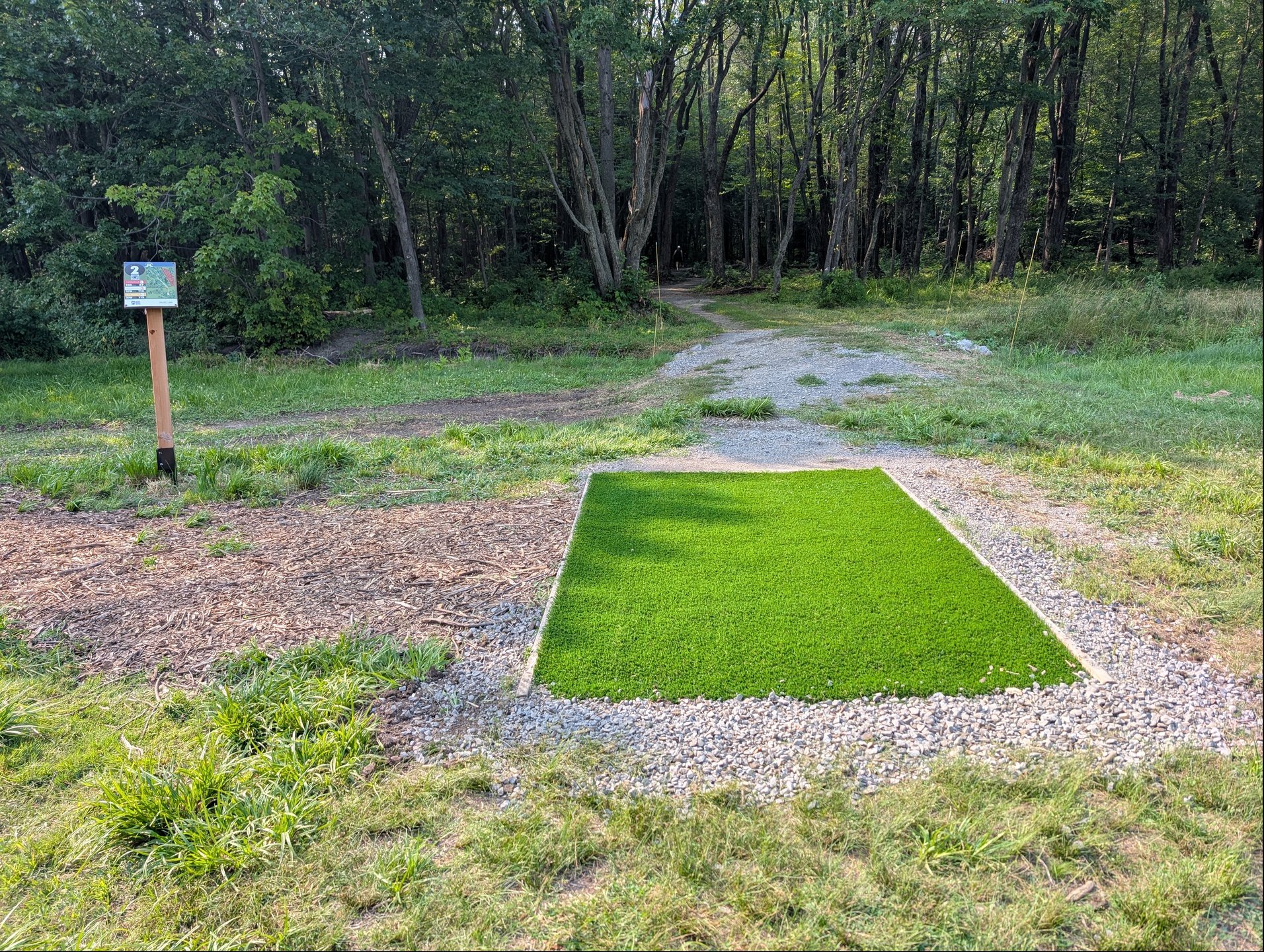 Nouveau/New turf #2