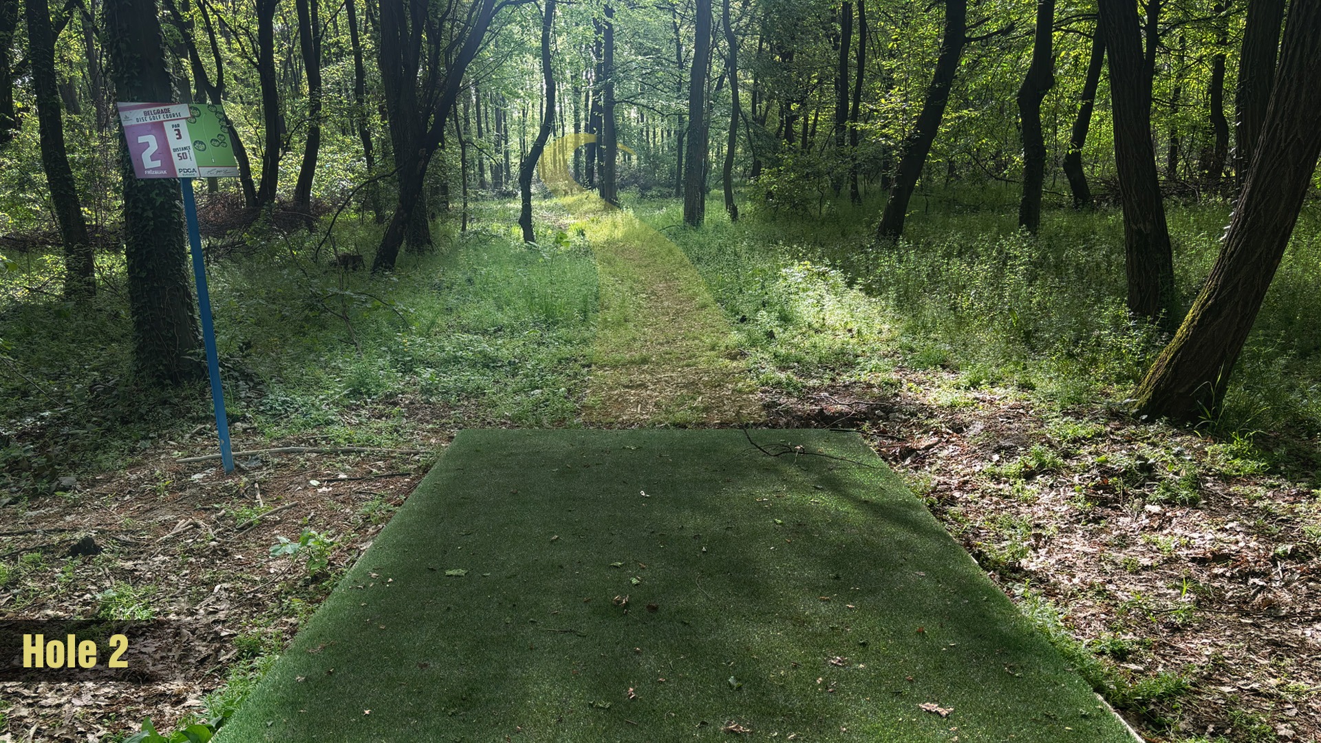 Tee 2