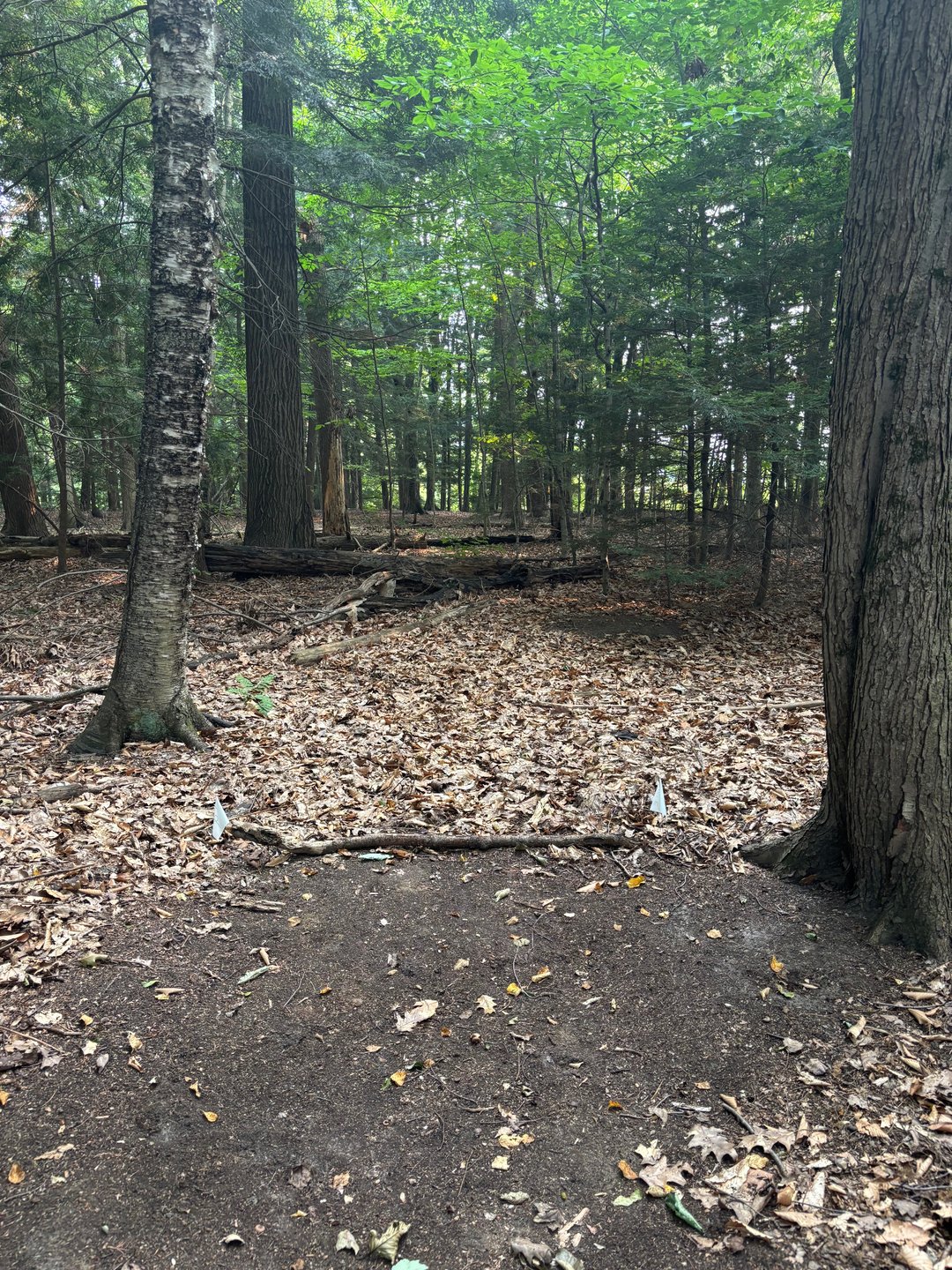 Hole 9 tee