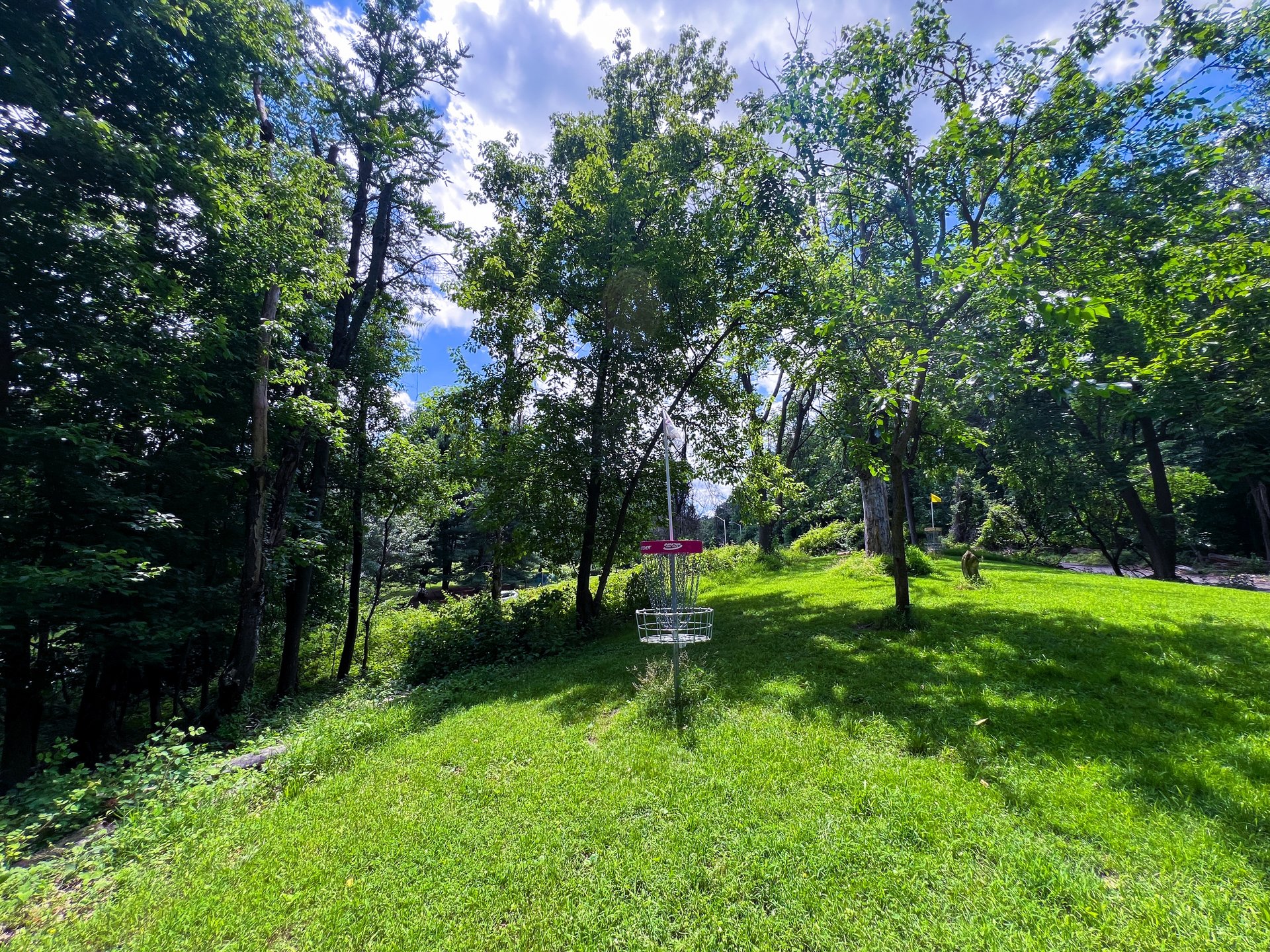 Hole 17's Pink and Yellow baskets. Pink is 254, Yellow is 321. Both are Par 3. Yellow is past and to the right of Pink. 