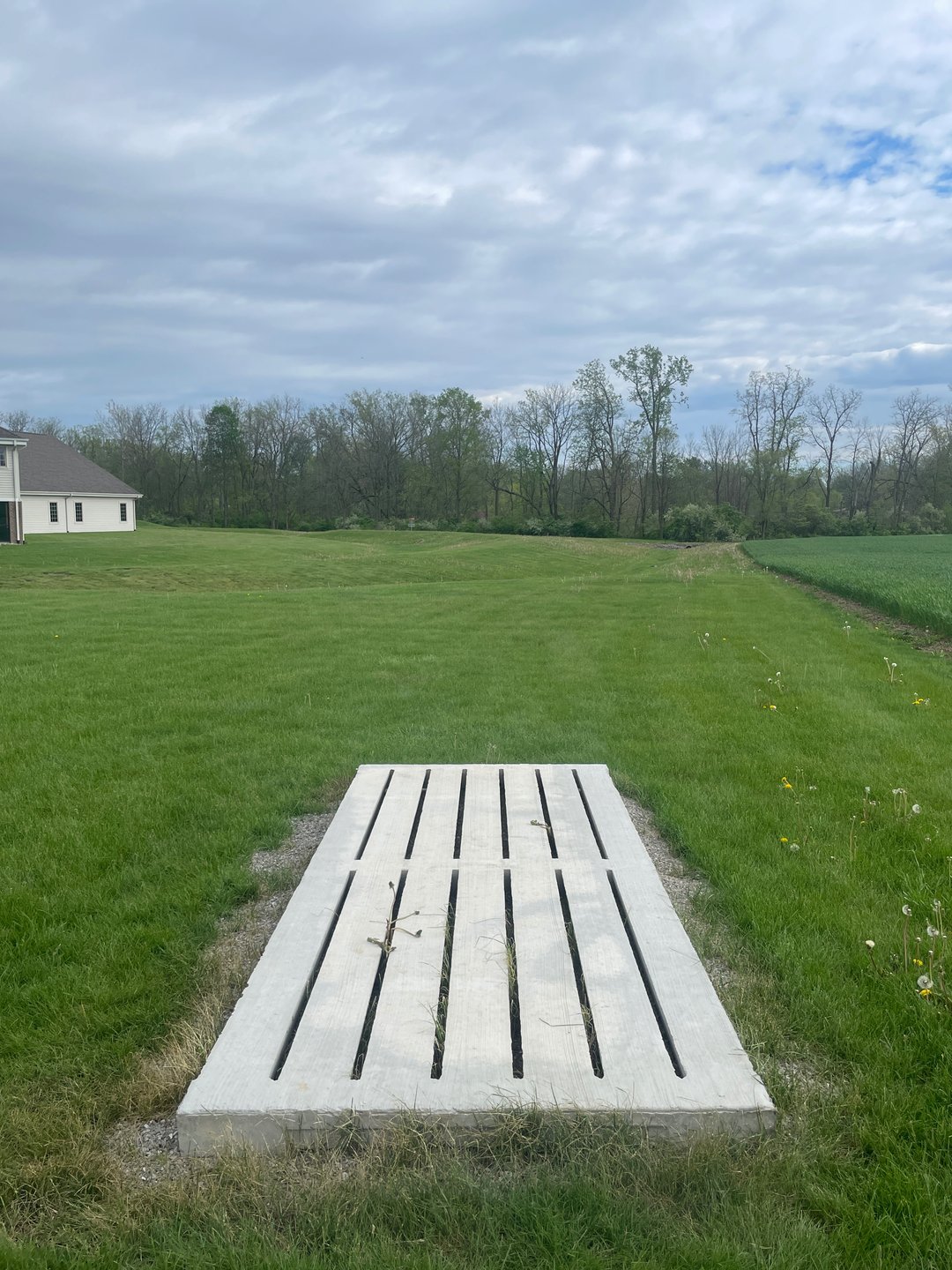 Hole 5 Long Tee Position. Basket out in the open on a small hill, just past the storm drain.