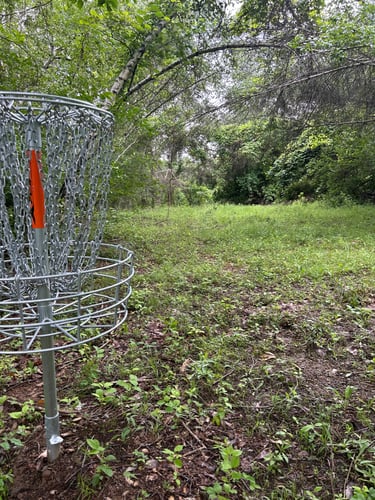 Hole 2 basket weekend layout
Hole 5 basket weekday layout