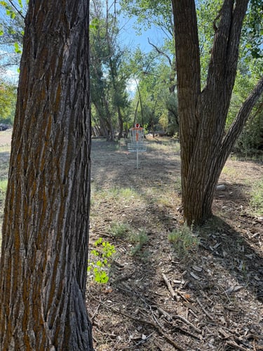 Hole 2 … The long basket 