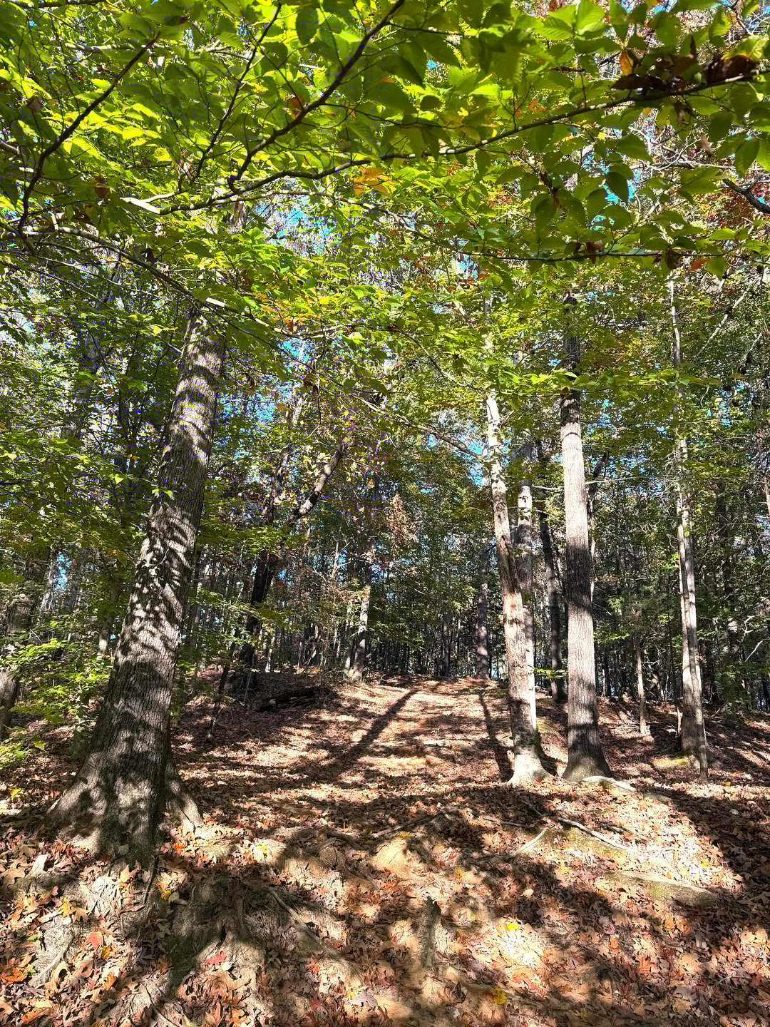 Hole 17 Uphill Fairway