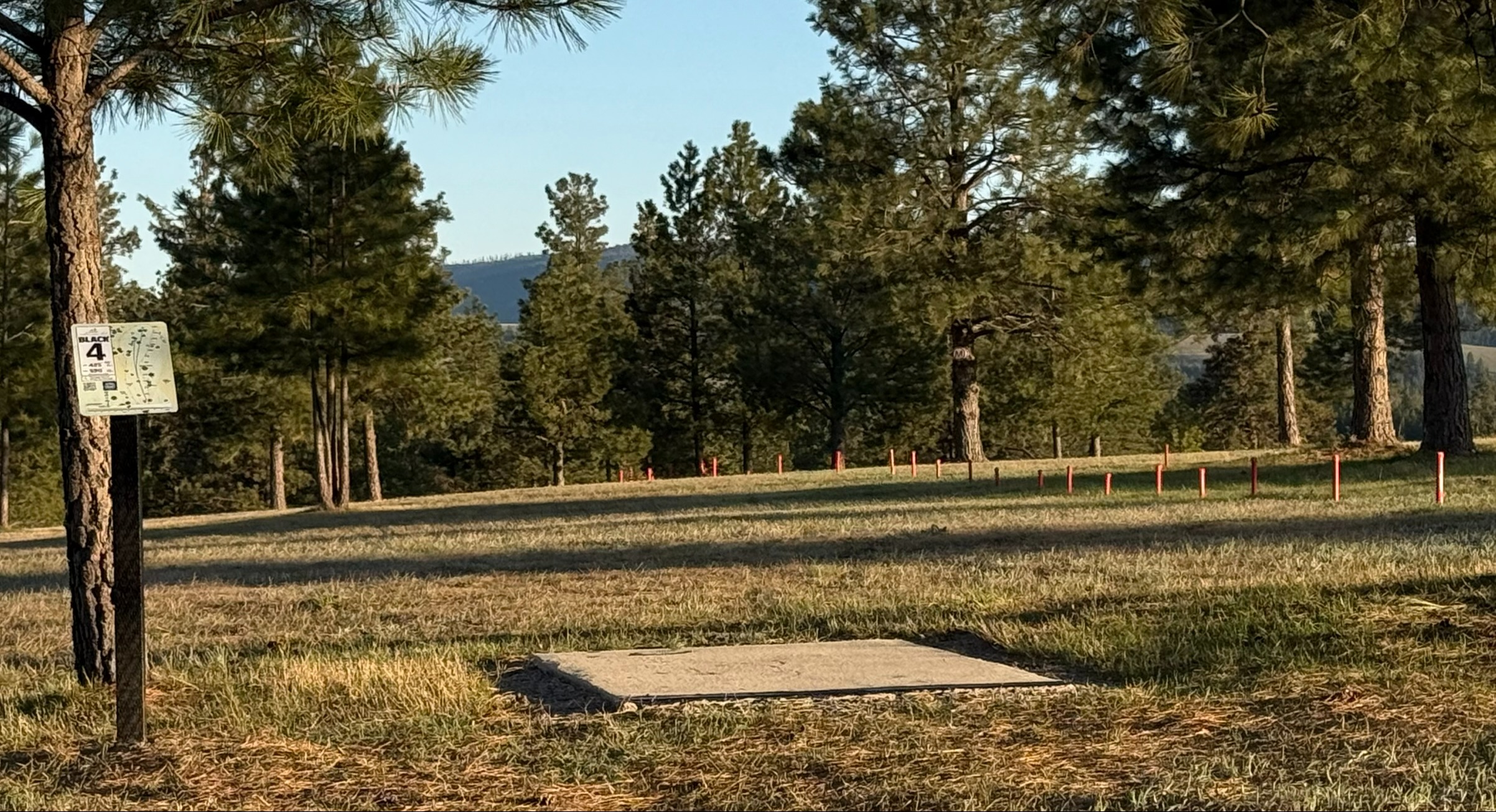 Fairway looks good - Ob on tight side - OB on Right 
