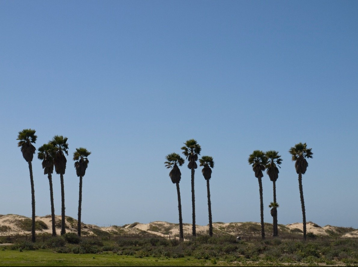 Ventura Beach