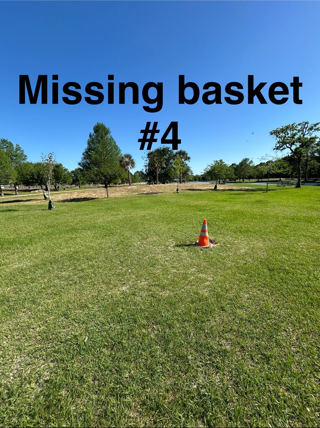 Missing basket 