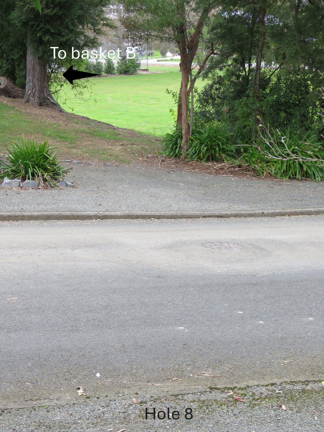 Tee from opposite site of road to showgrounds-watch traffic before throwing
