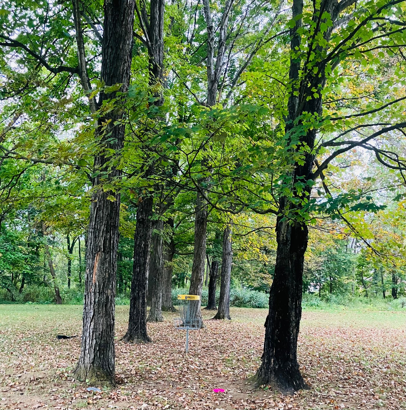Ridgeview Park Disc Golf Course