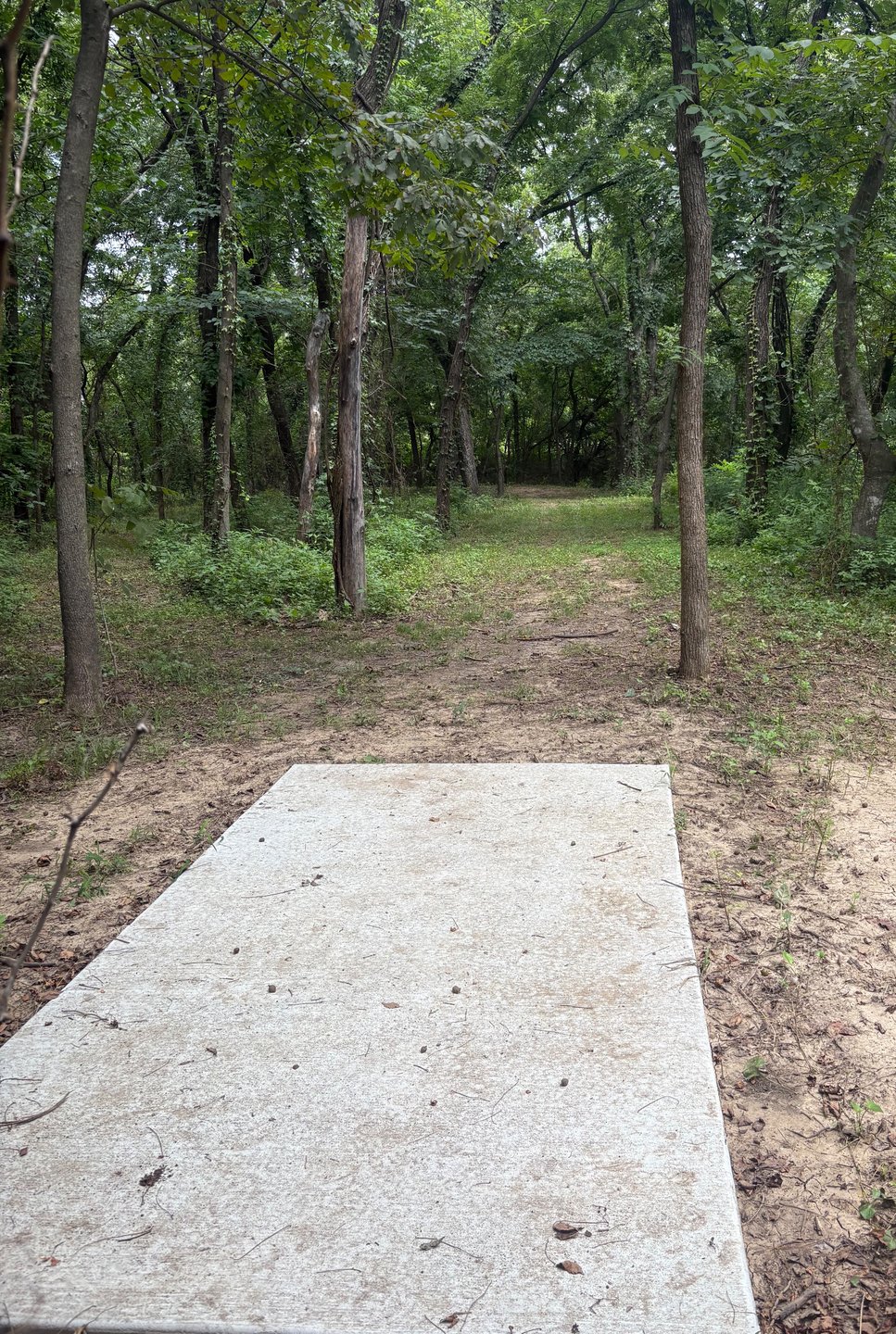 From the tee on hole 12 with the "that gaps plenty wide" illusion.  