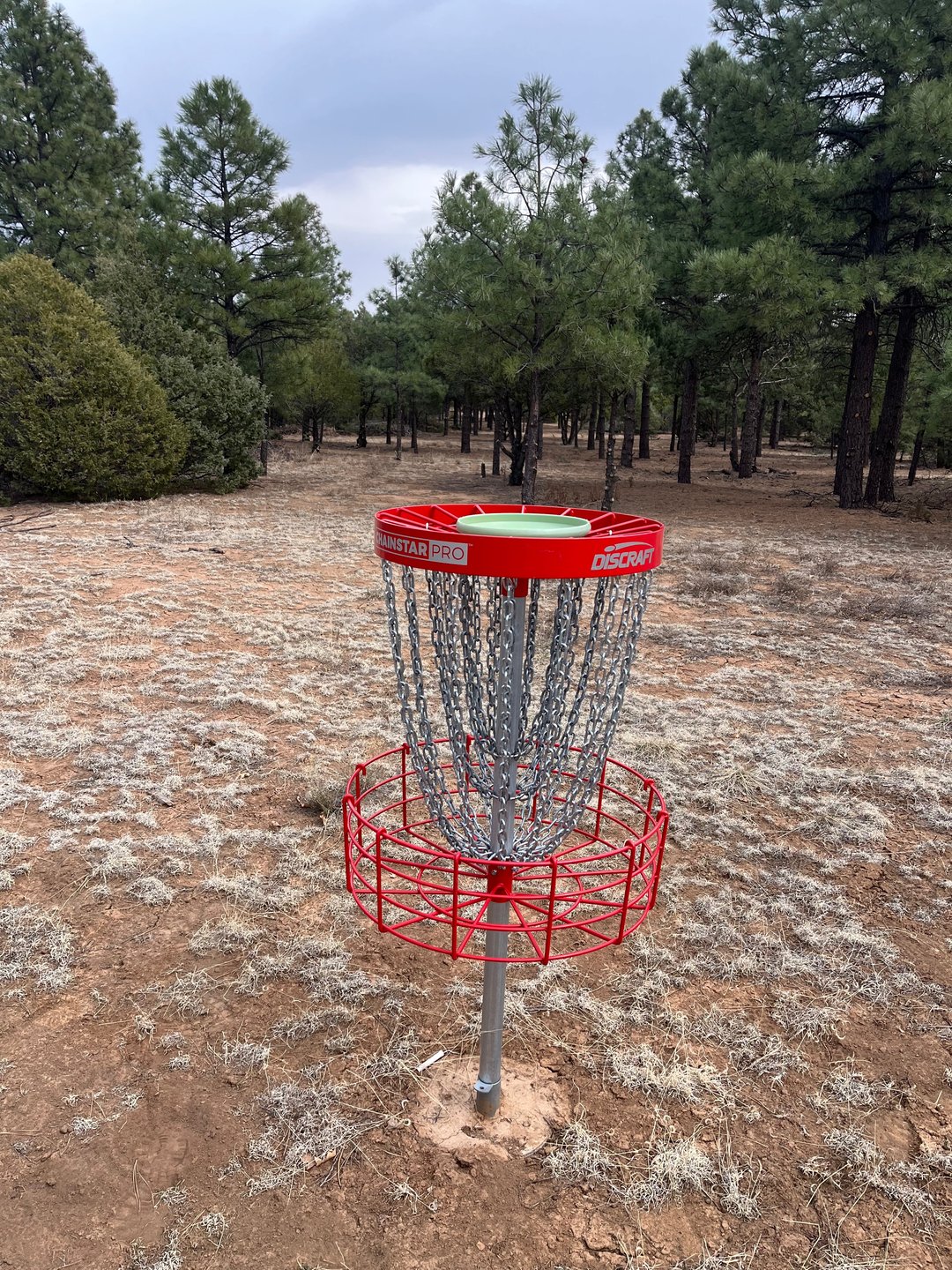 Hole 26 Basket