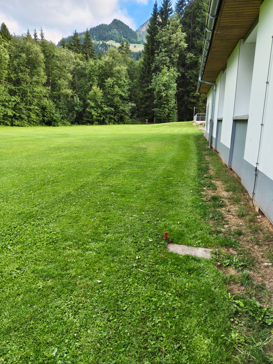 start on tee.