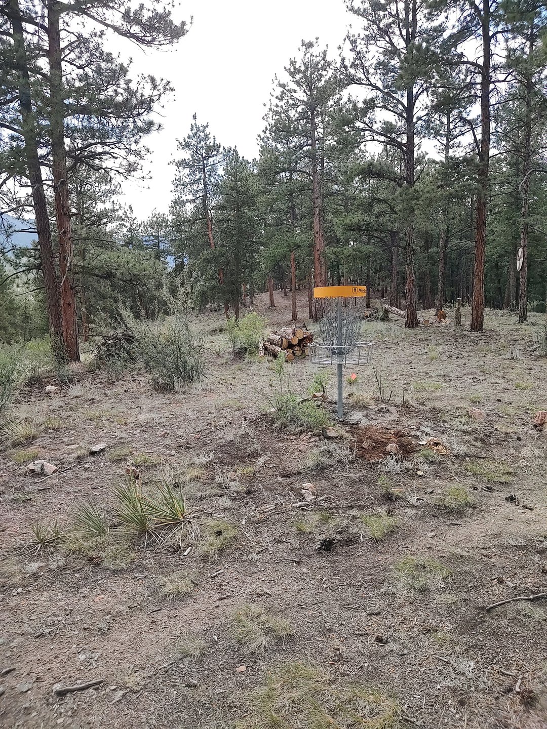 Hole 10 Littlefoot