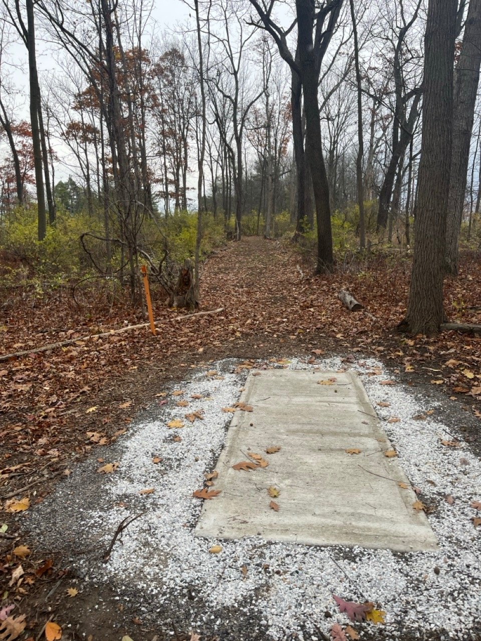 Tee 17. Basket up and to the right.