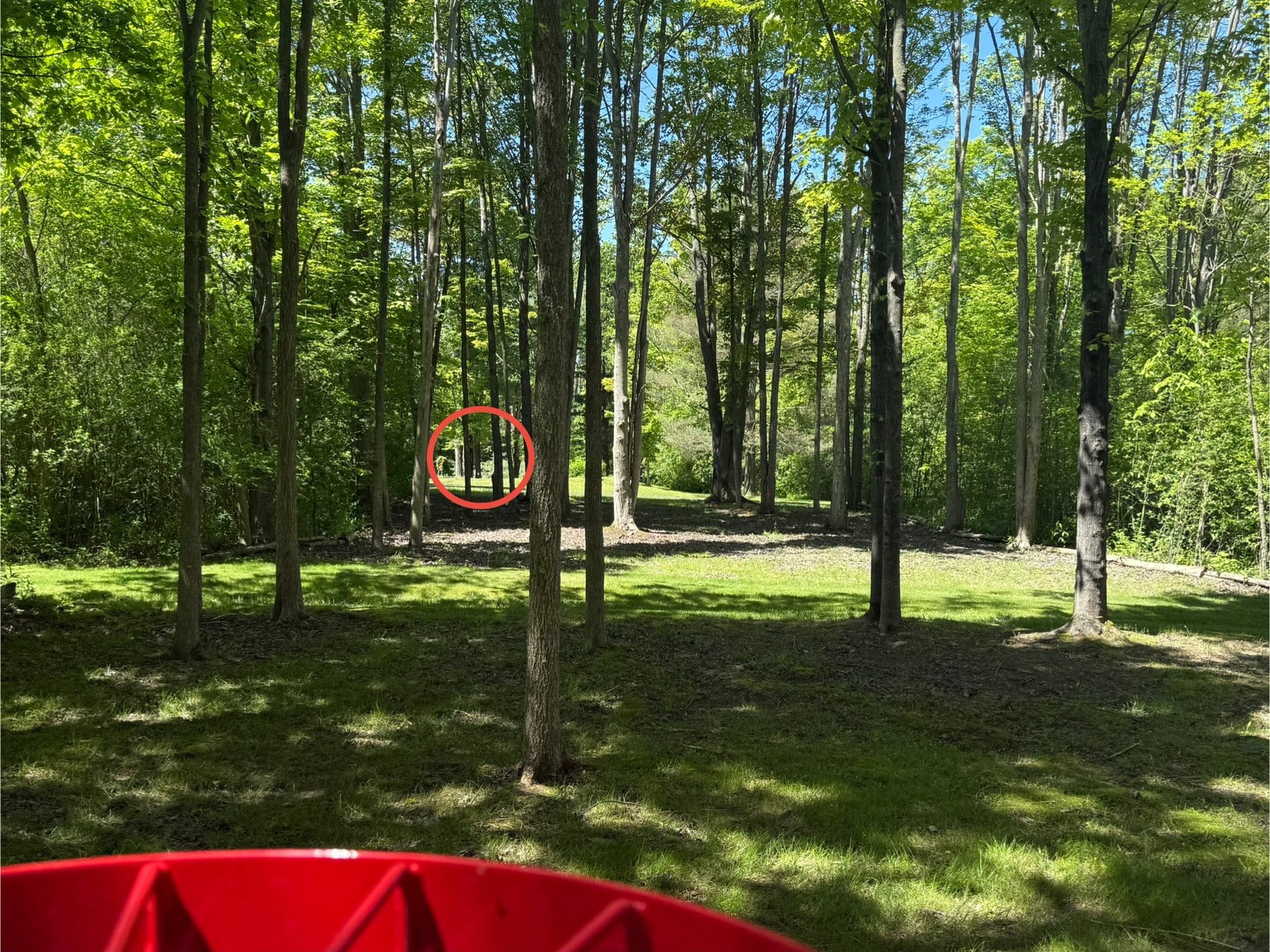Hole 1 Basket to Tee