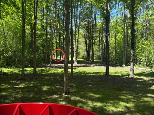 Hole 1 Basket to Tee