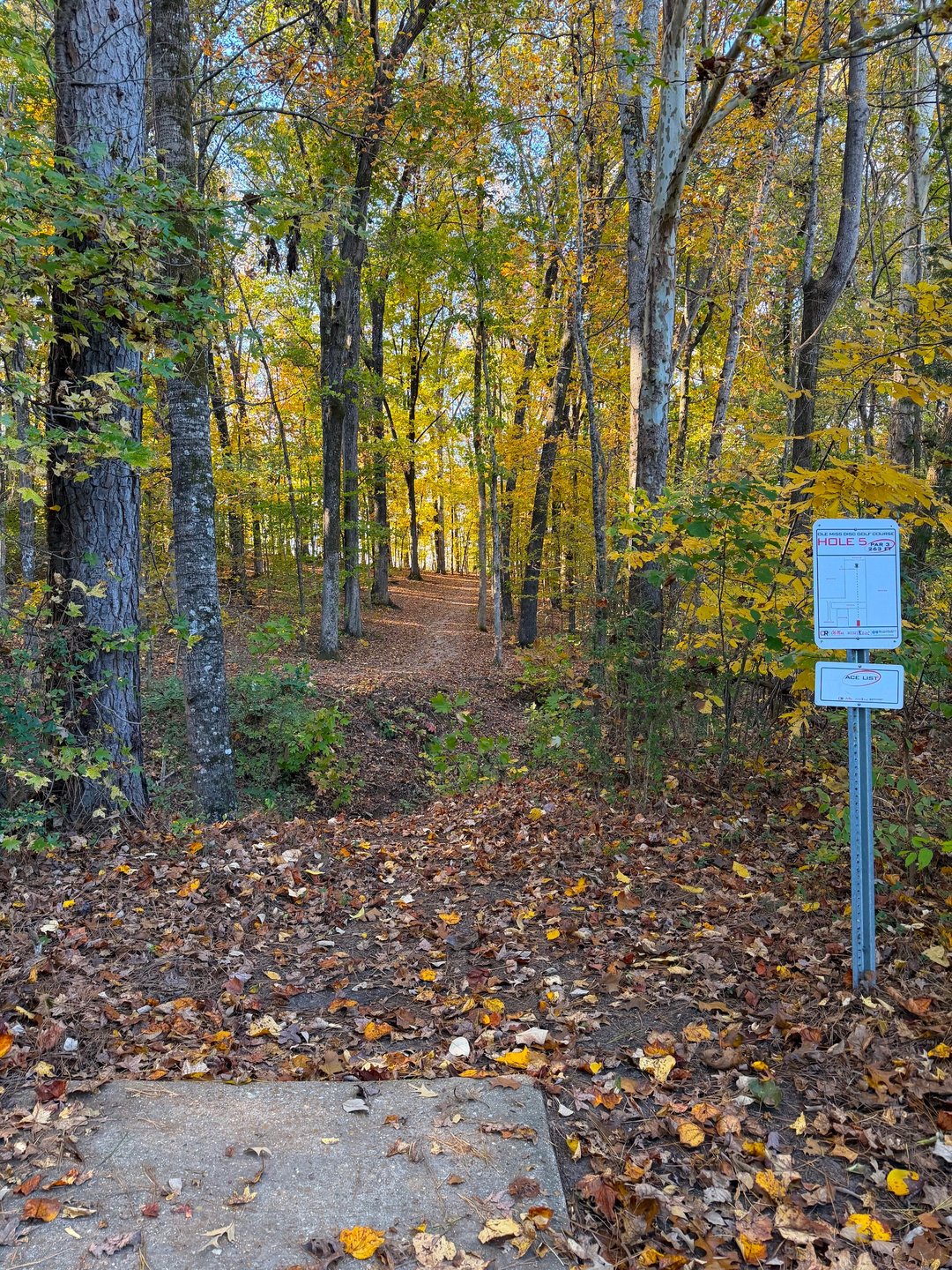 Hole 5 From the Tee Pad