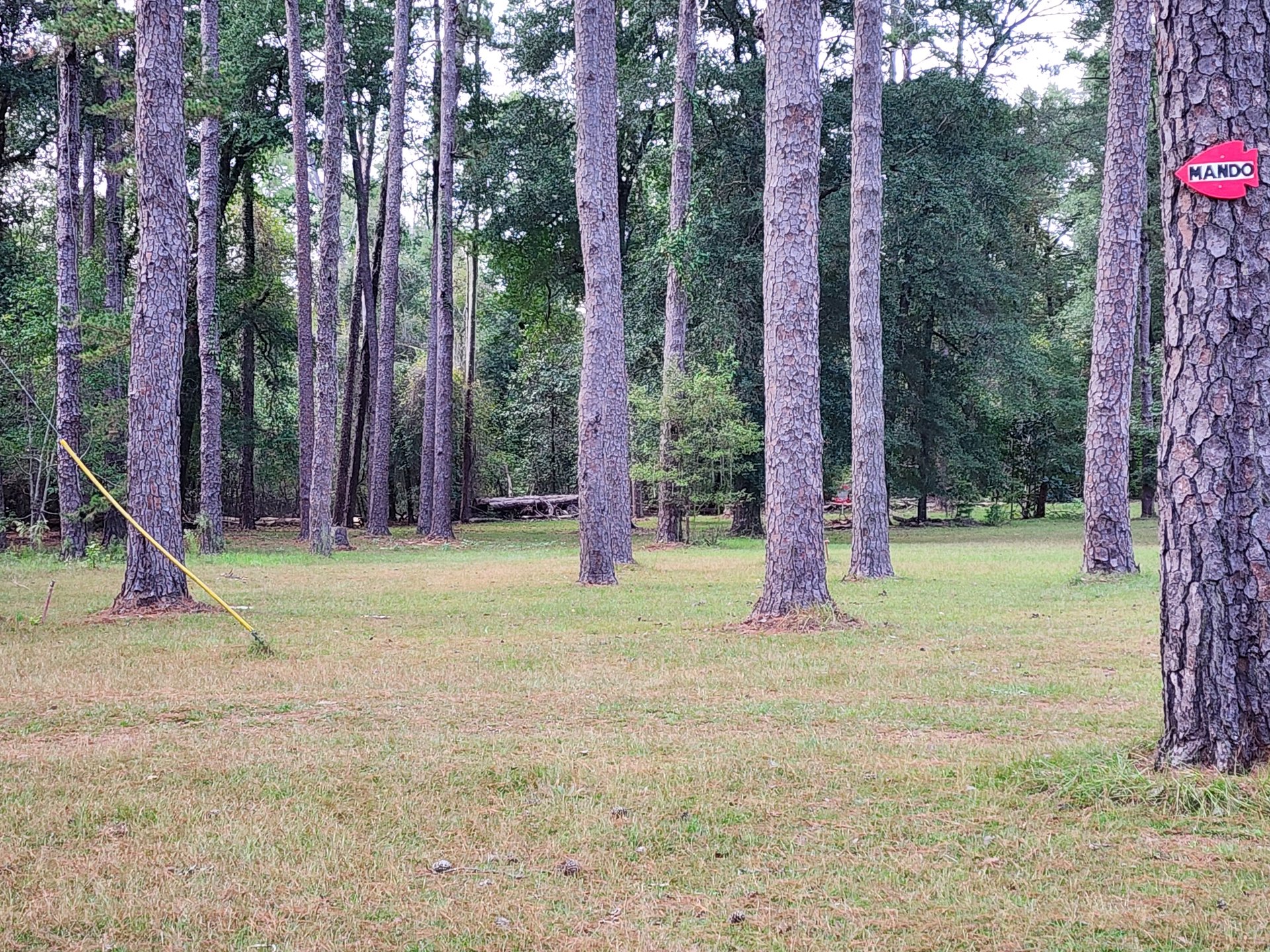 C pin view from in front of short tee