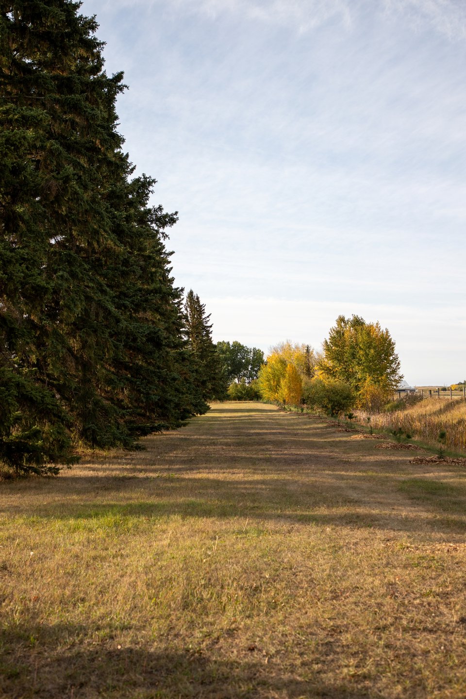 Looking down hole 6's fairway