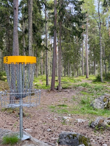 Väylä 6 korin takaa