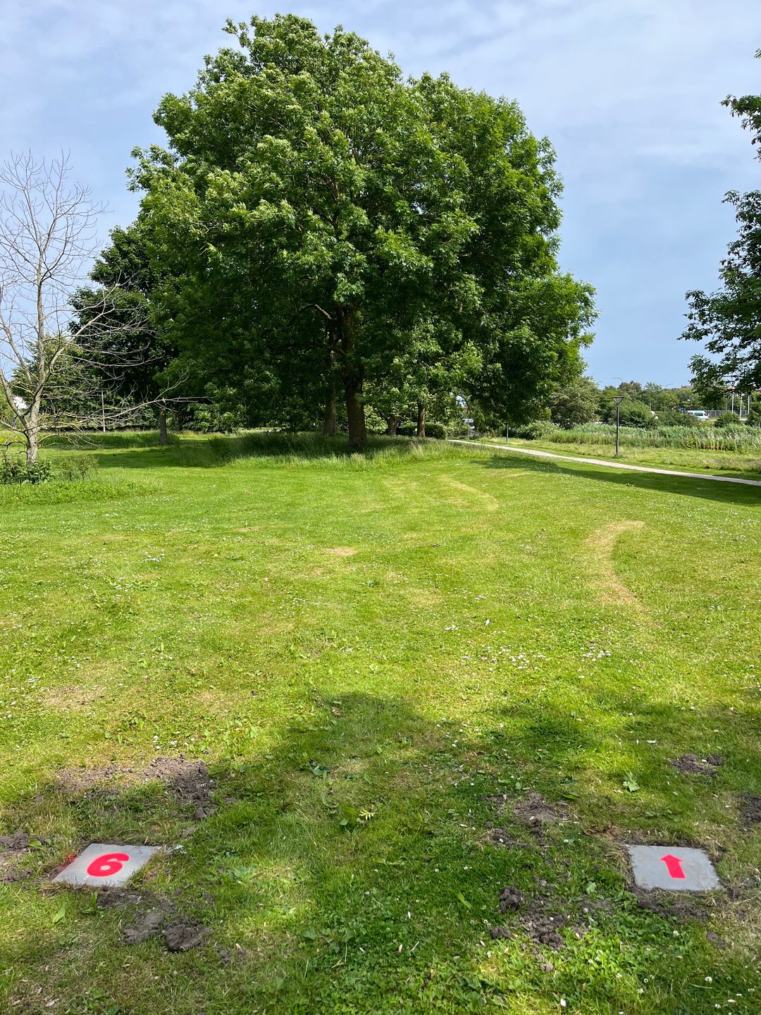 #6 from tee