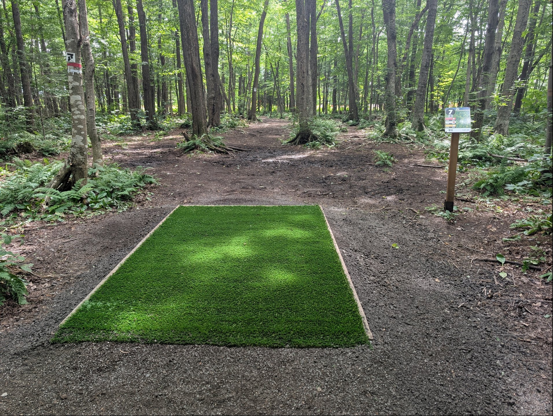 Nouveau/New turf #7