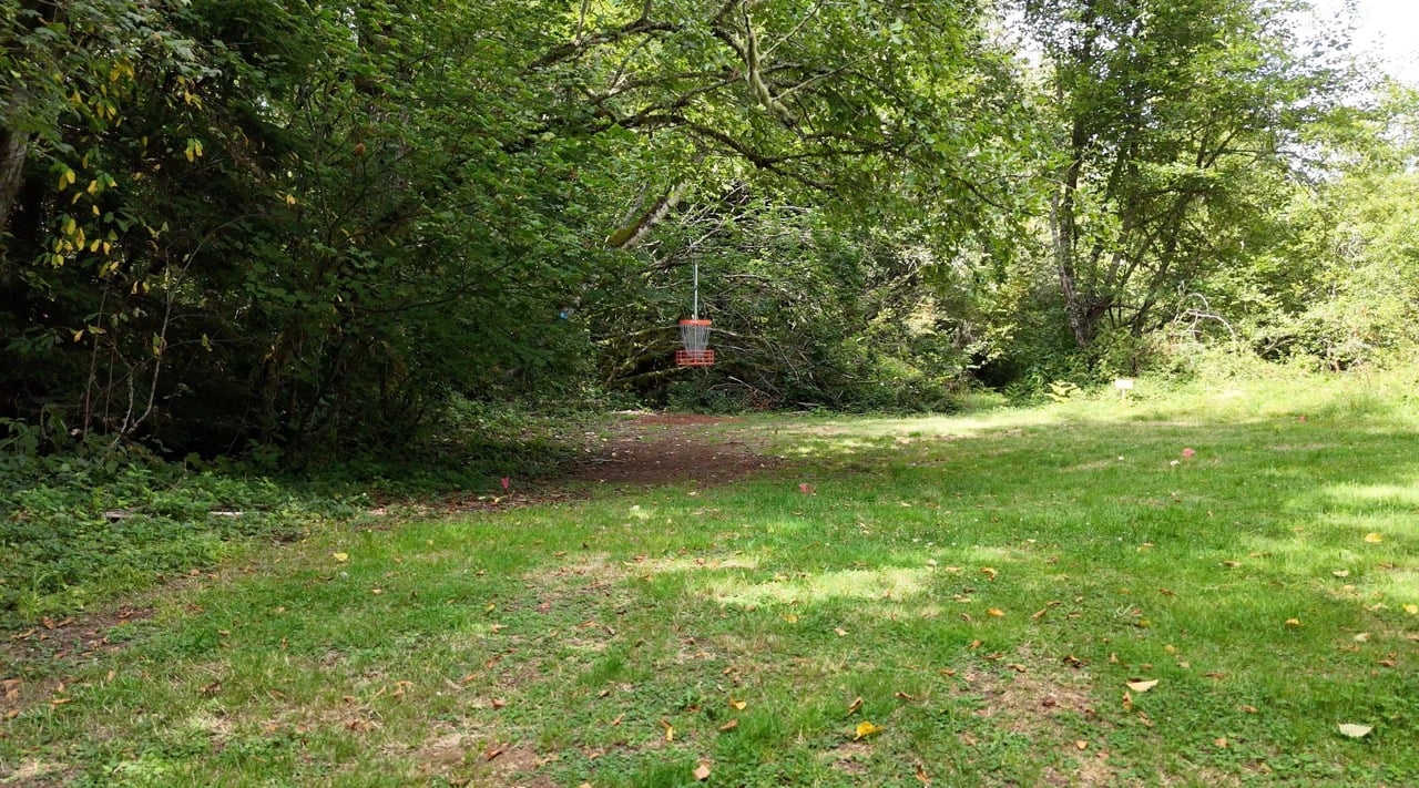Hanging Basket of Hole 11
