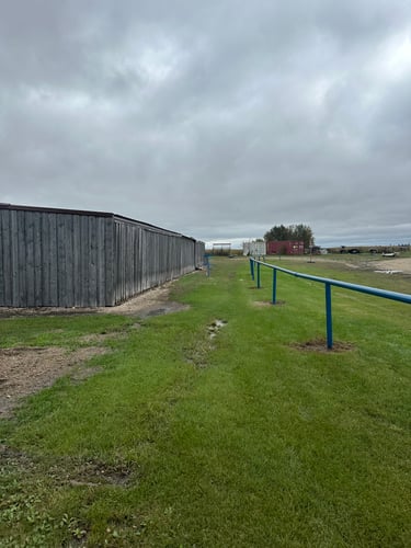 Basket of hole 2. For added difficulty add a stroke if rodeo wall is hit. 
