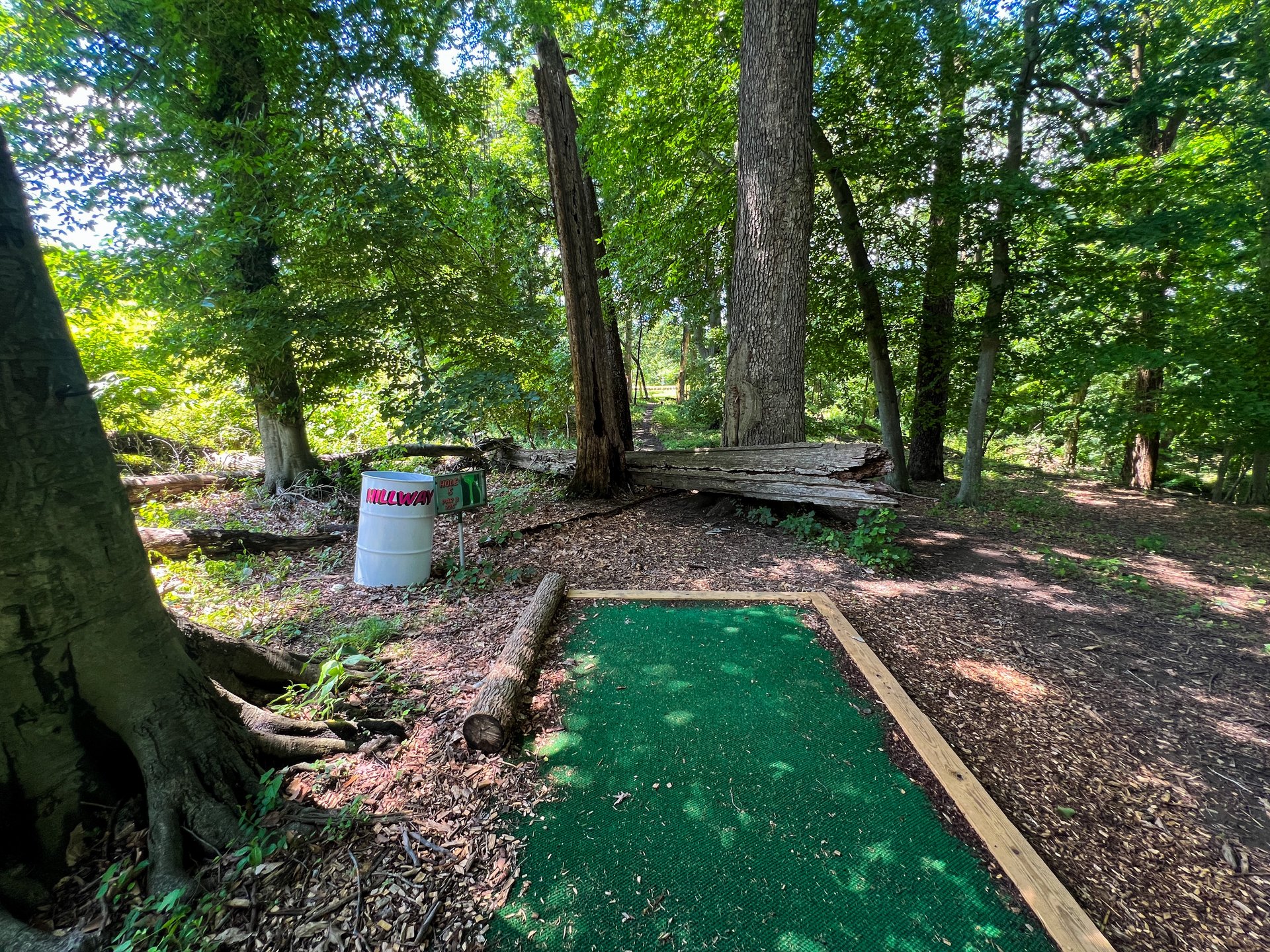 Hole 5's tee. Par 3. Pink basket is straight ahead and to the left, 263 ft. Yellow basket is straight head and past the wooden stumps, 296 ft. Road is out of bounds. 