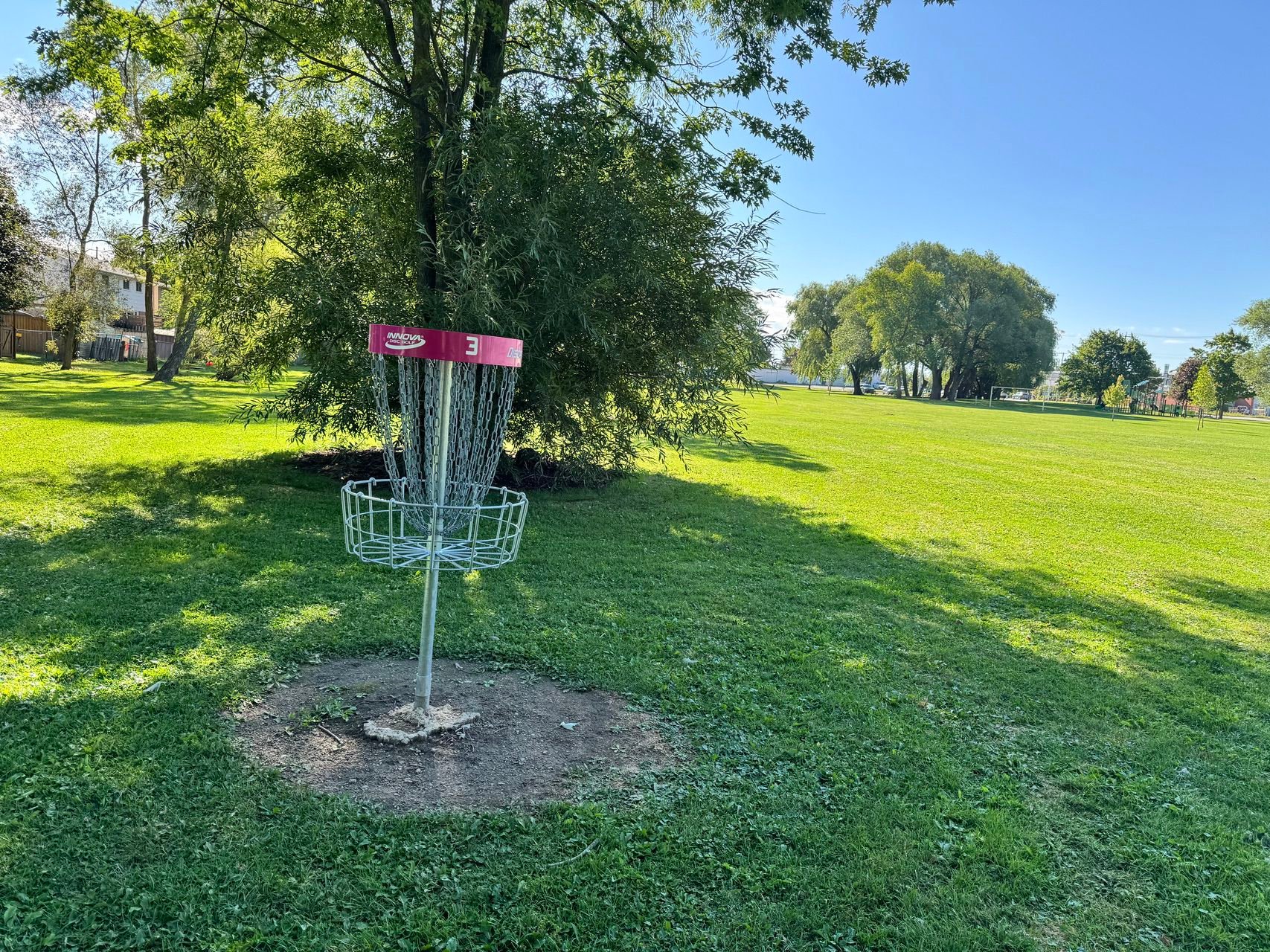 Pink Basket
