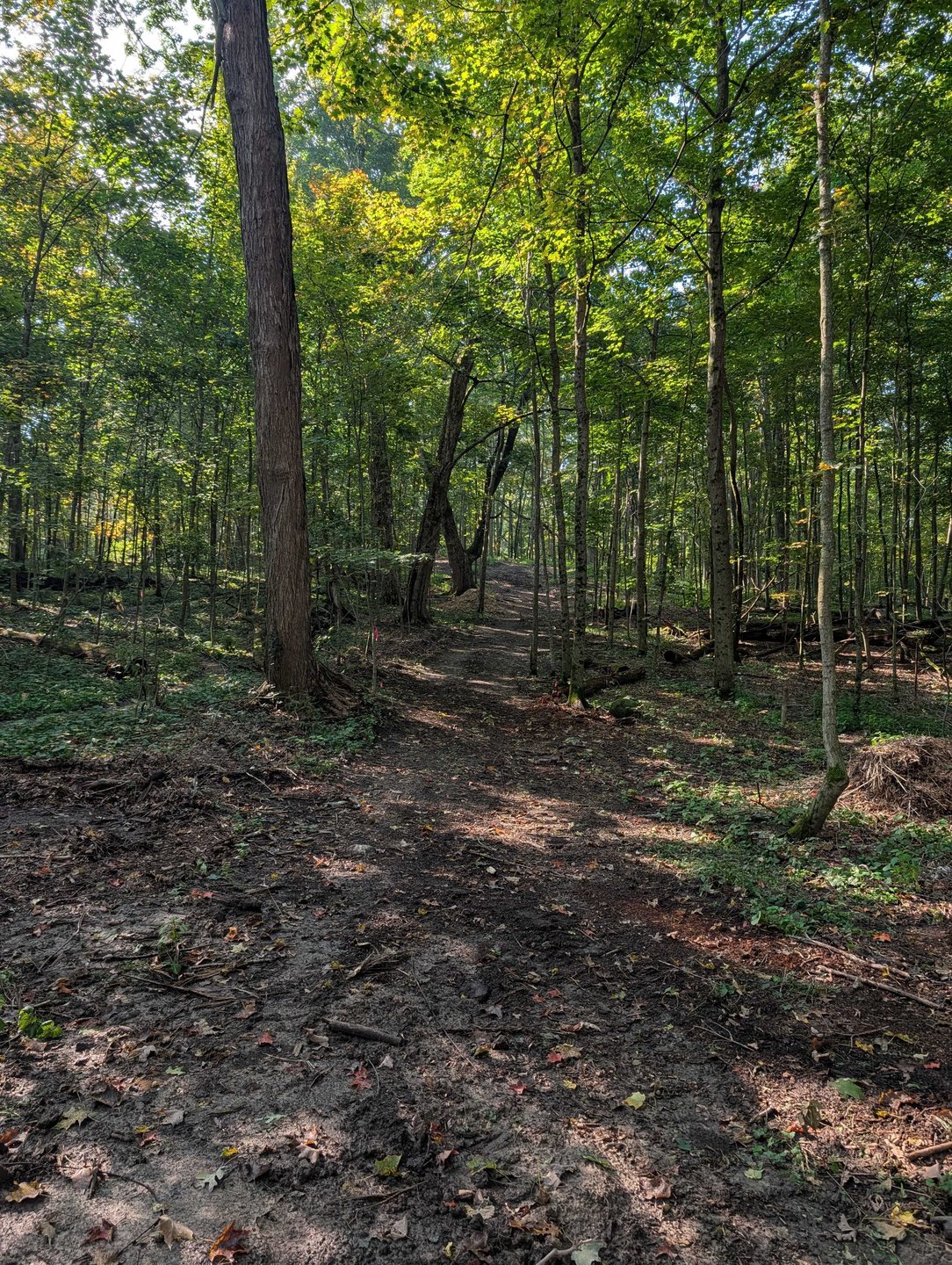 Hole 10 - Fairway from short tee - straight-ish shot uphill 