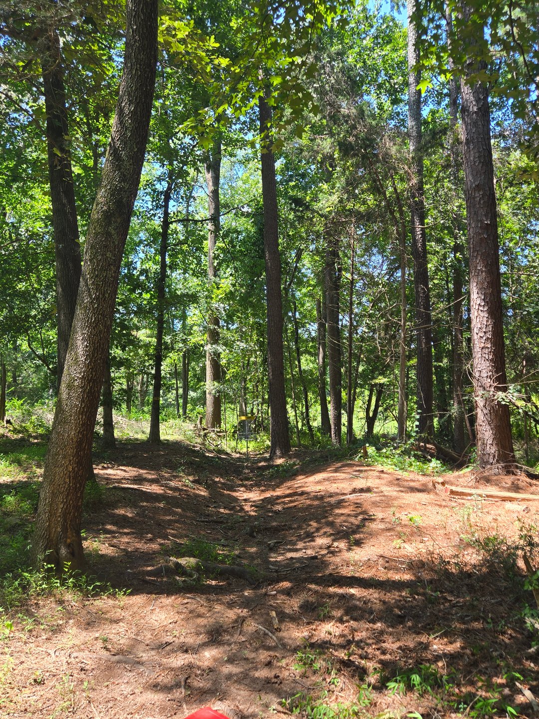 Hole 14, after some dangerous trees in the green area were taken down.