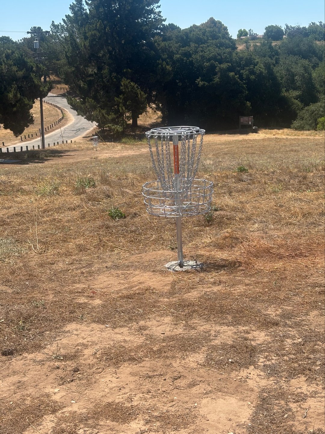 Virgin basket 