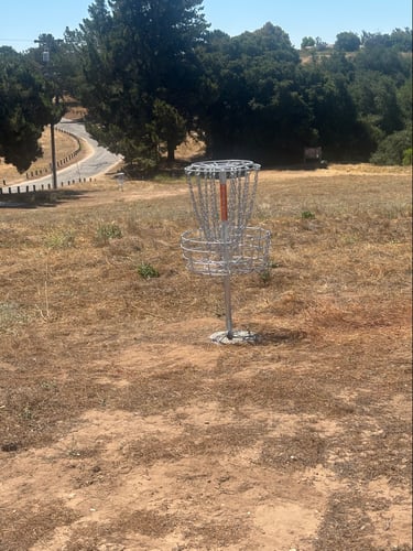 Virgin basket 