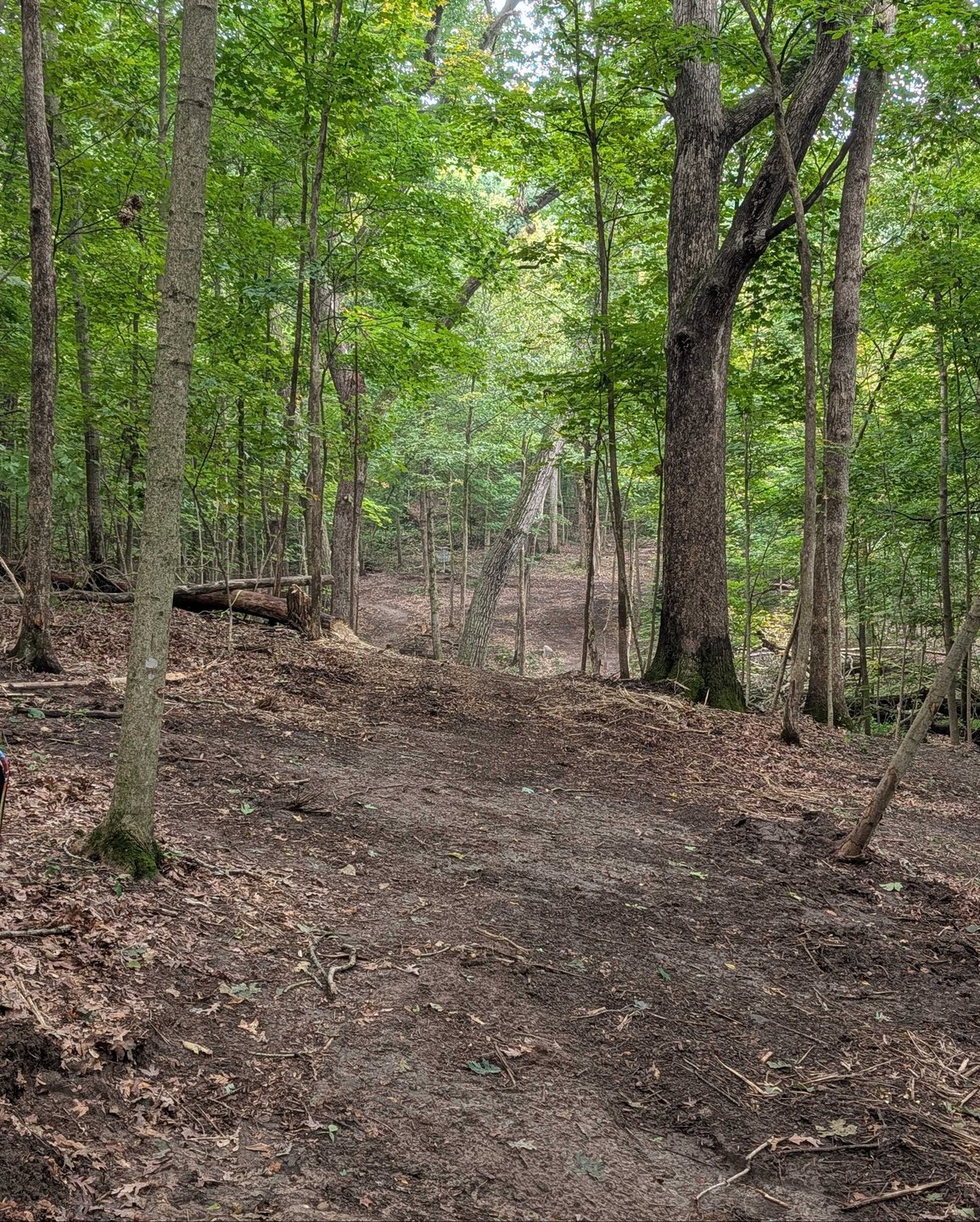 Hole 2 - Fairway from long tee - straight shot with gap on left or right side