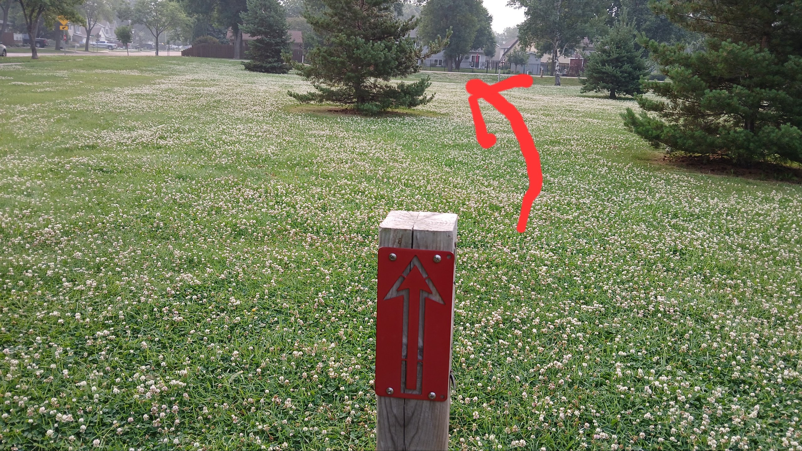 To finish it all off, hole 7 is the shortest throw, but don't overpower it, it's just behind the tree for extra skill!

98ft