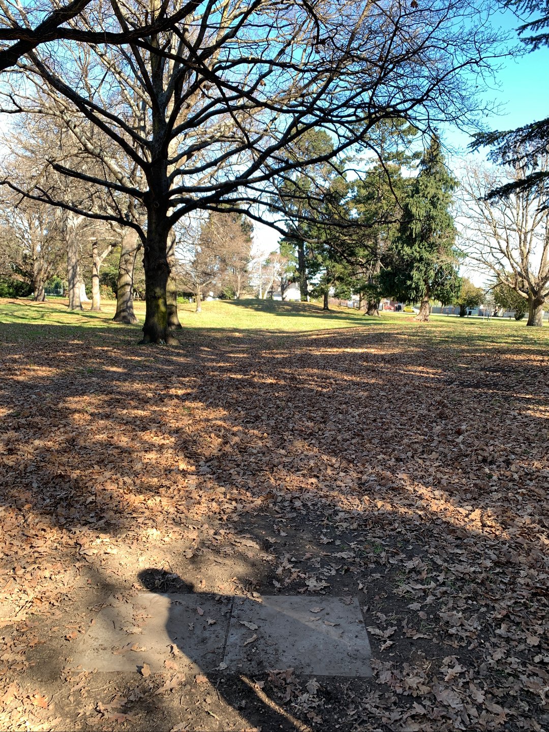 Hole 3 tee pad