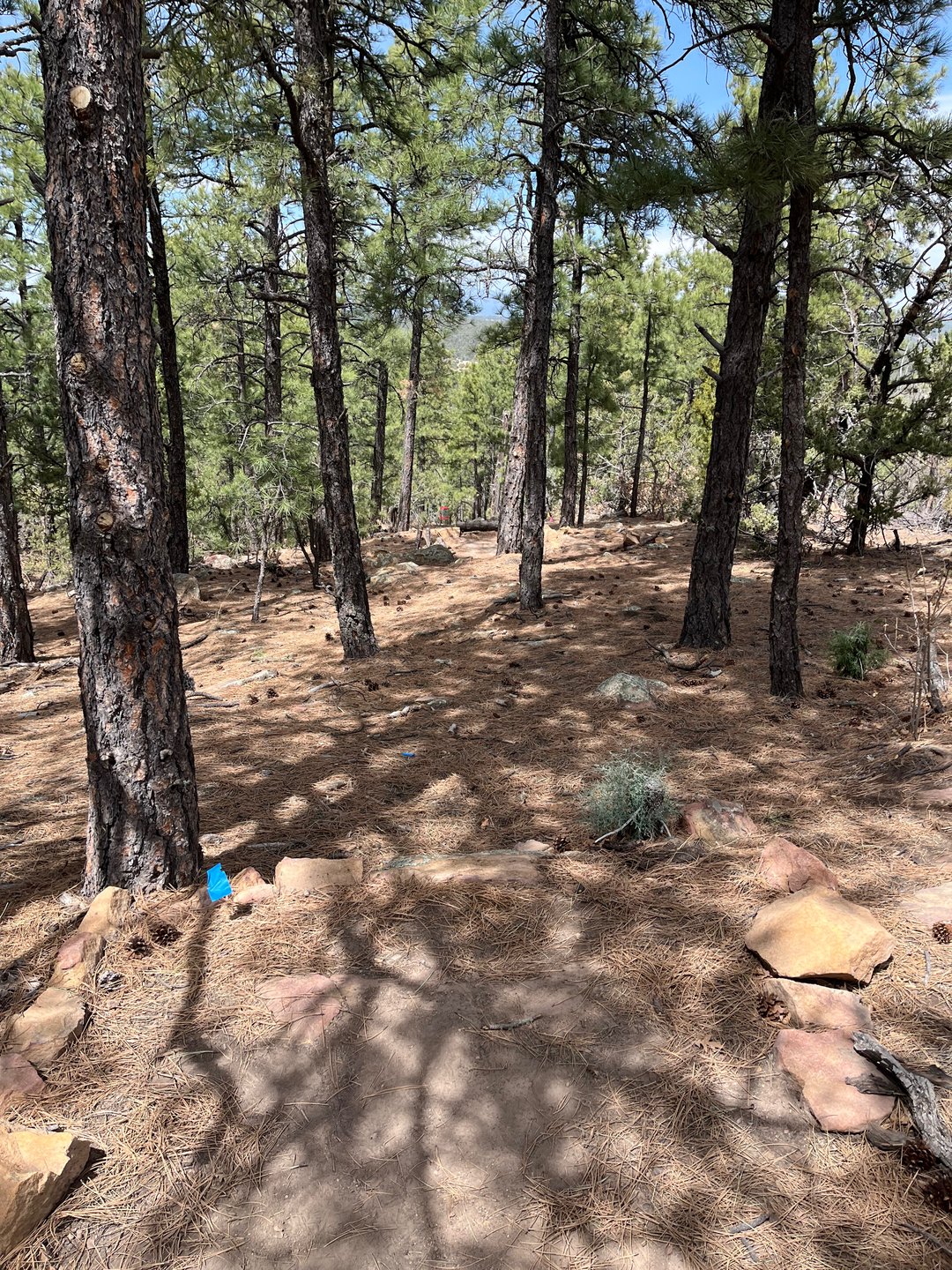 Hole 14 Long Tee