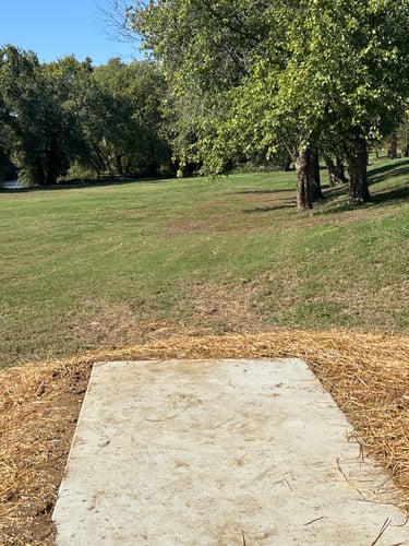 Tee to green 