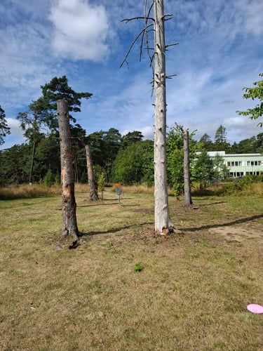 Course photo