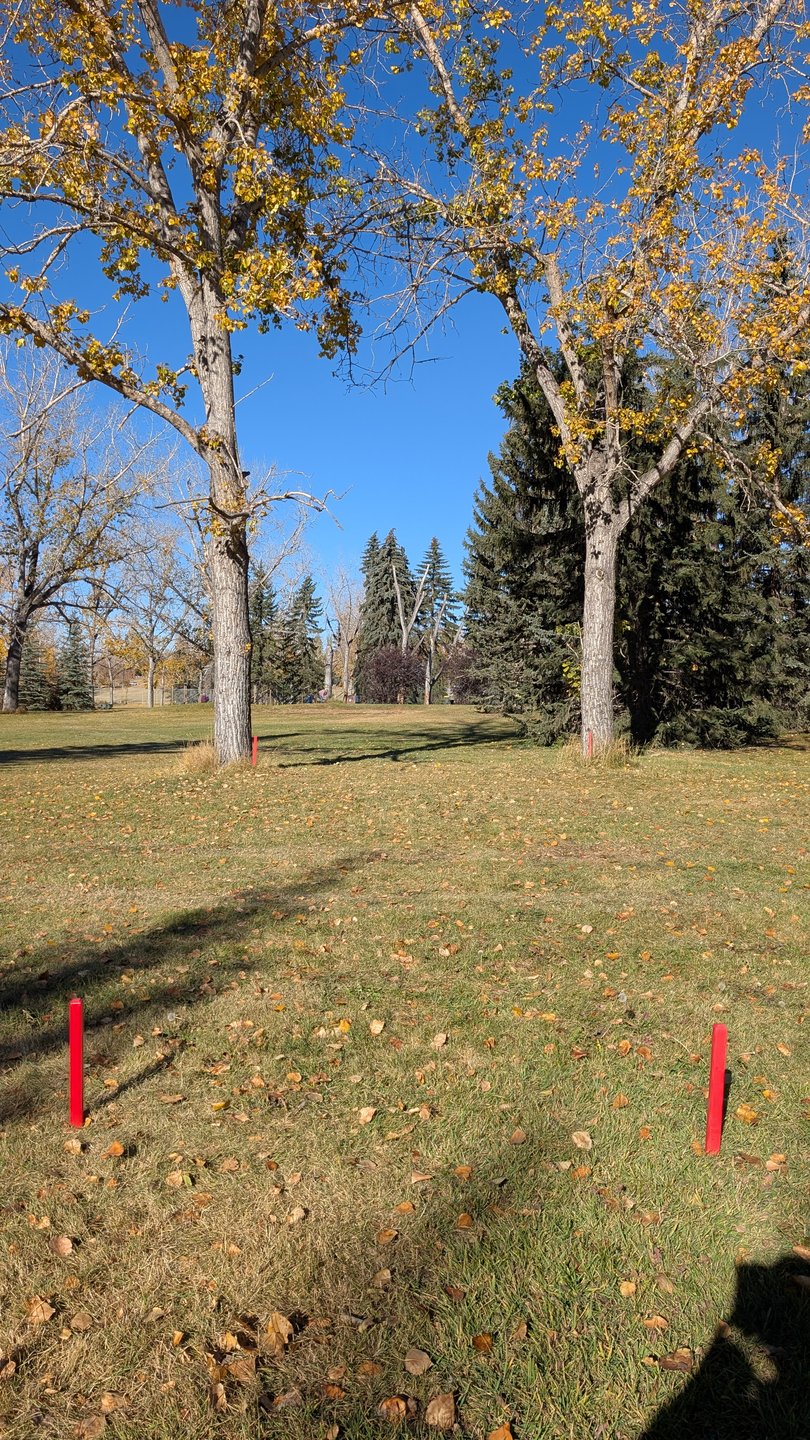 Double Mando for Hole 7
