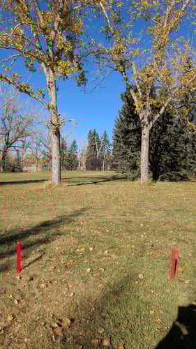 Double Mando for Hole 7