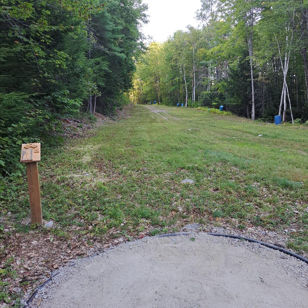 View from tee.