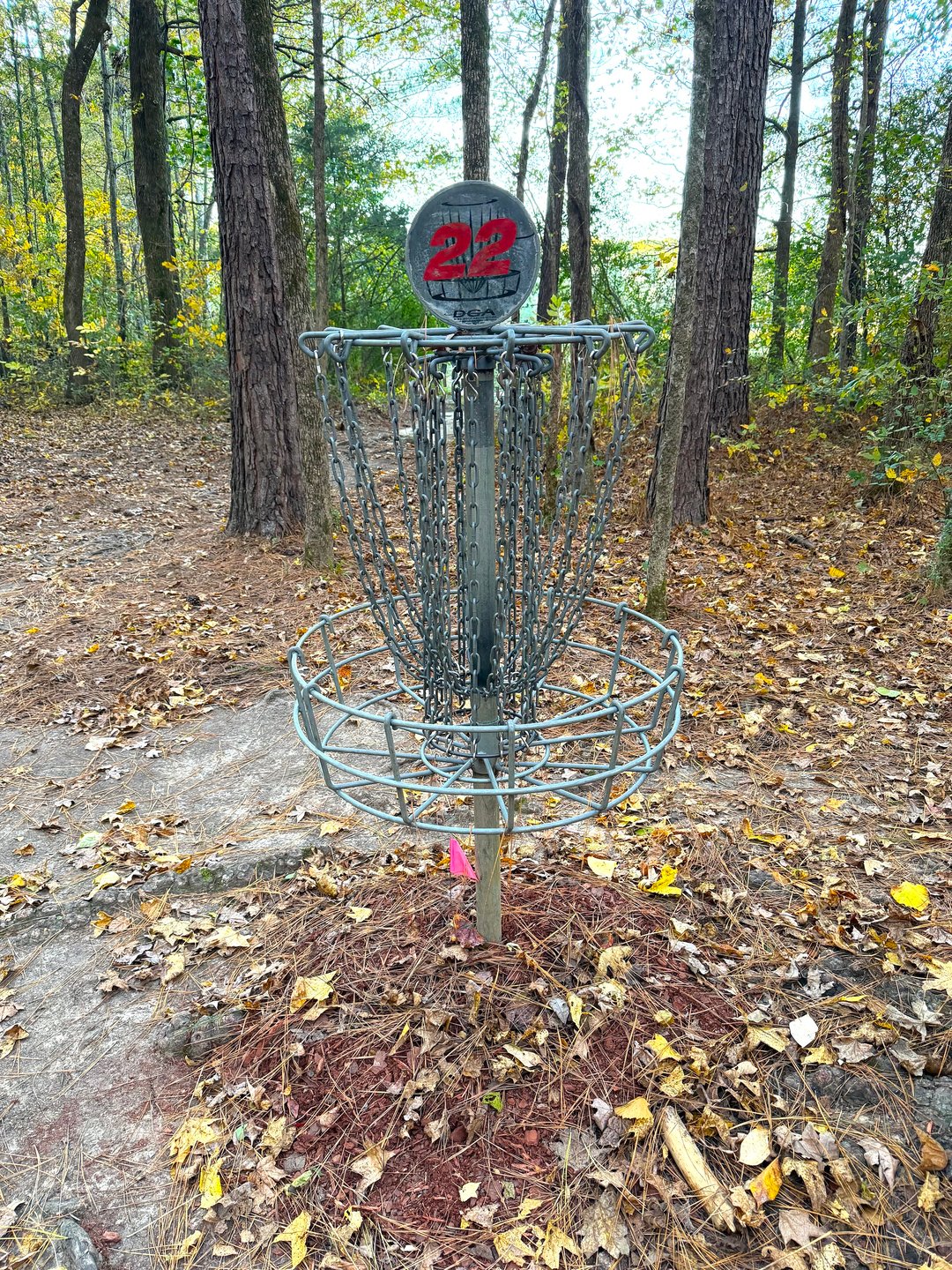 Hole 22 Basket