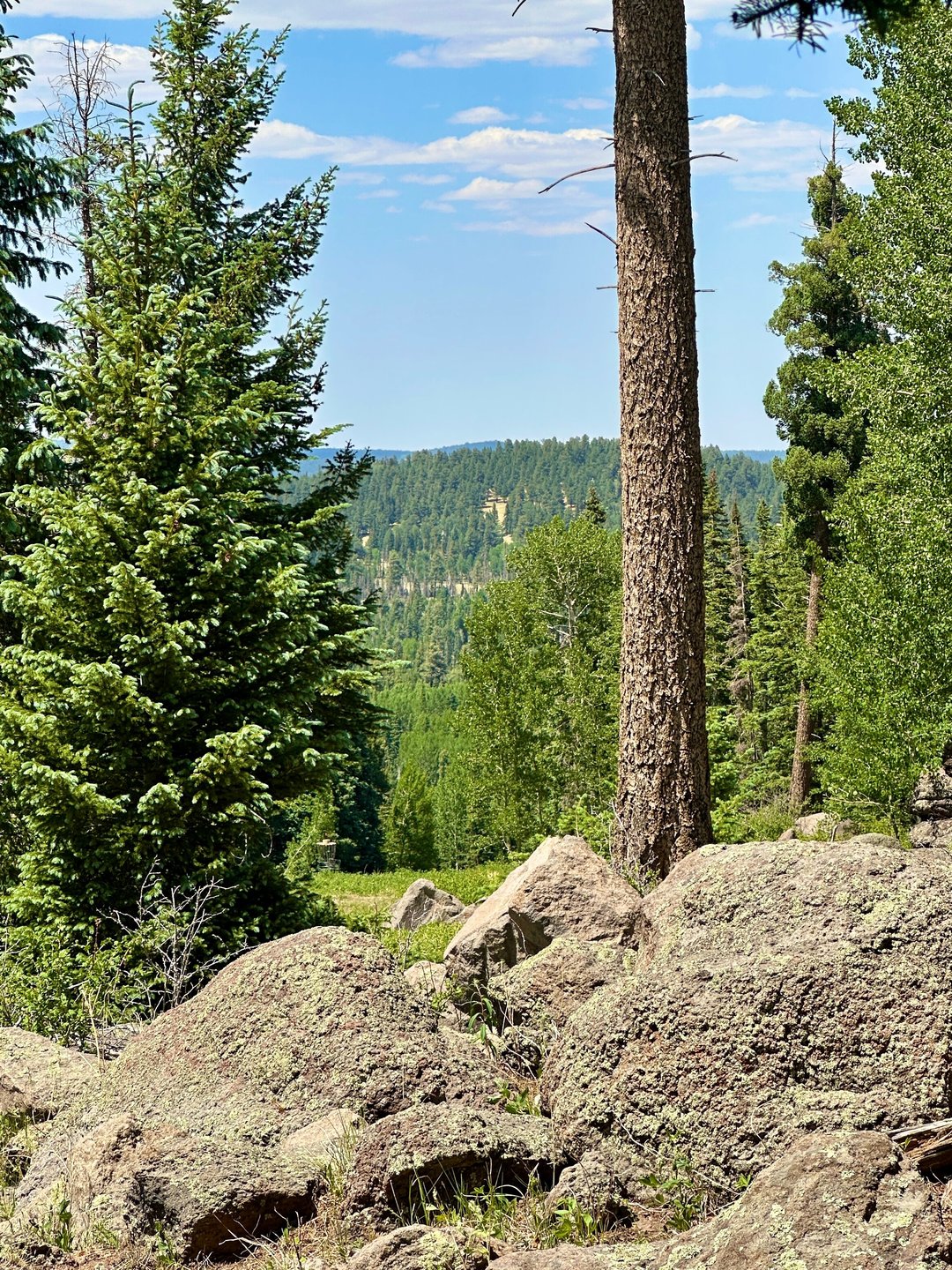 View from left side of Tee 13
