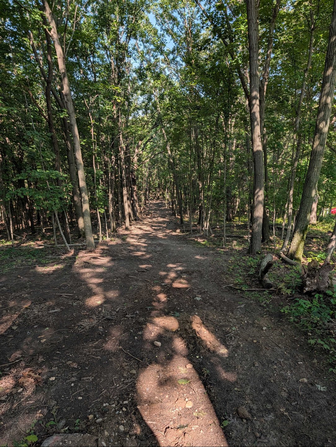 Hole 17 - Fairway from long tee - downhill straight shot that finishes slightly to the right 