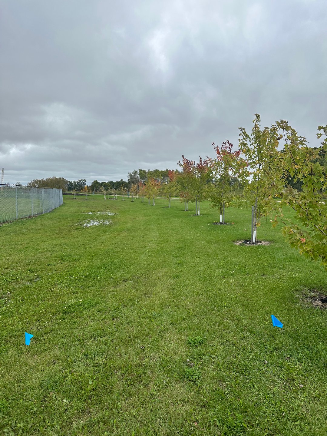 Hole 8: Beyond fence and gravel road is OB

For added difficulty Island Hole past water culvert.