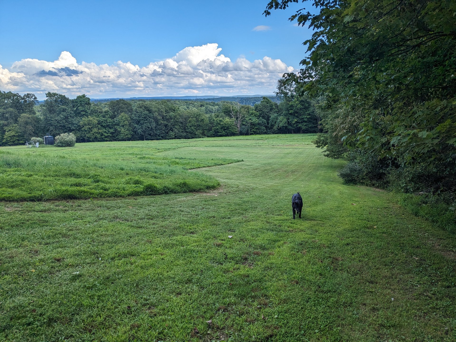 Stone House Disc Golf Course