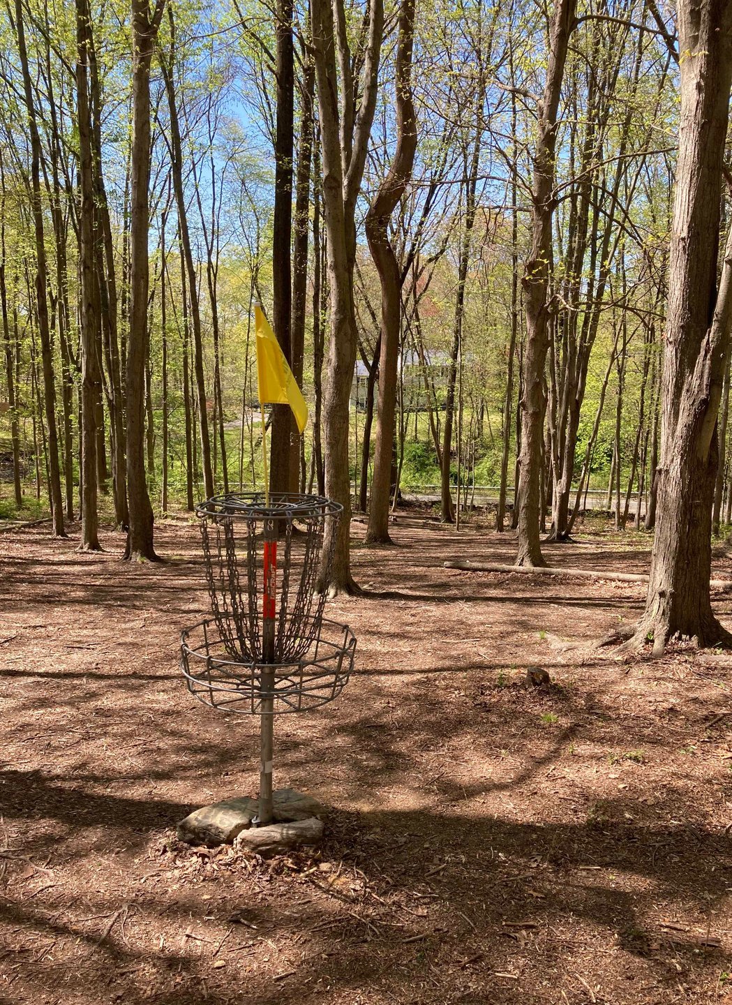 View from Hole 2 basket back up fairway